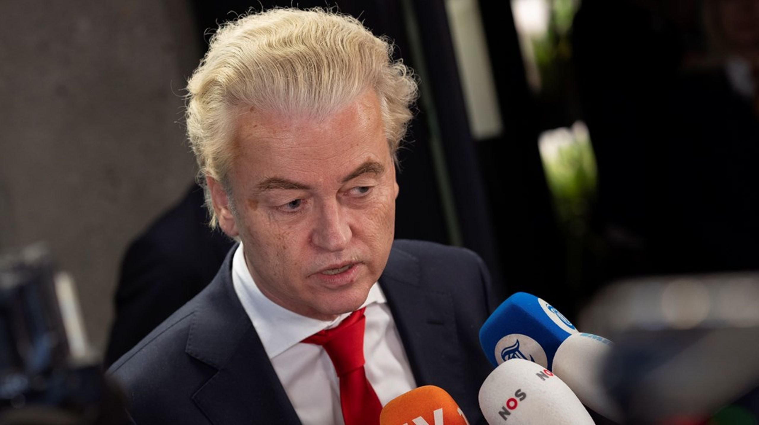 Hollanda Seçimleri: Wilders Zirvede Ama İzolasyonda, Koalisyon Krizi!