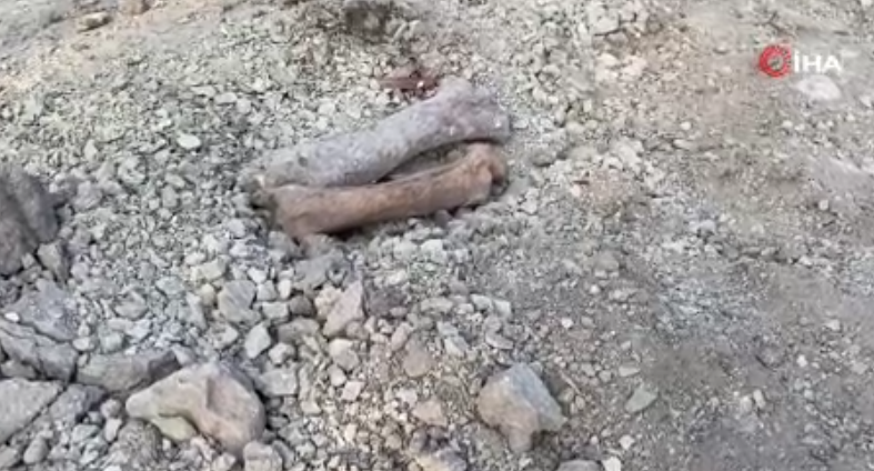 Gizemli Keşif: Burdur'da Kazı Sırasında İnsan Kemikleri Bulundu