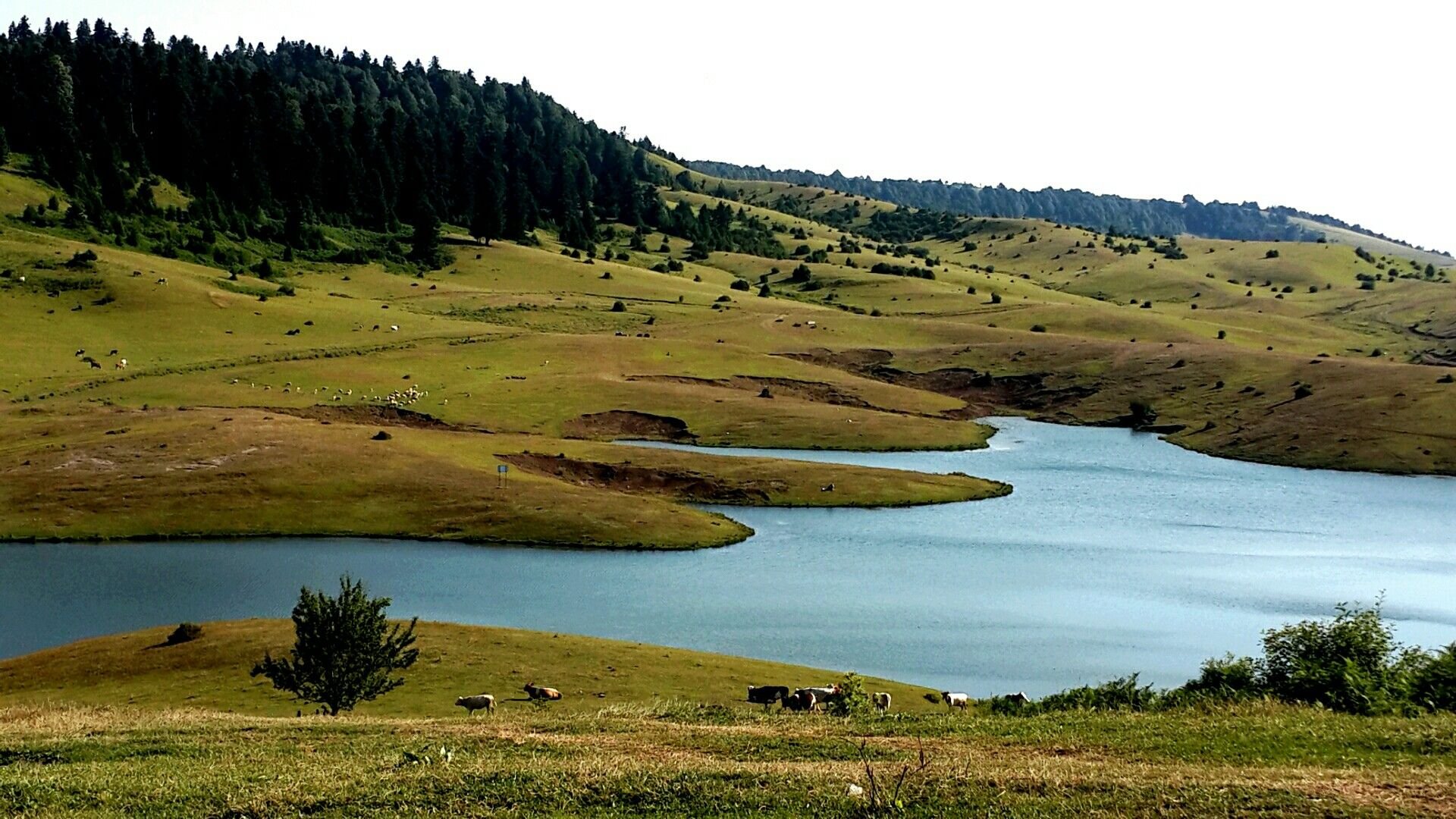 Burası İsviçre Değil, Türkiye! Sakarya'daki Saklı Kamp Adresi