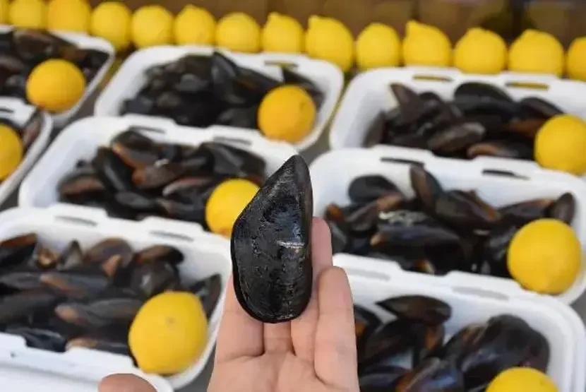 İstanbul'daki Tatil Kabusa Döndü