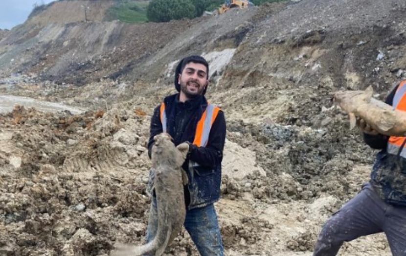 İBB'nin Döküm Sahasına Çevirdiği Mavi Göl'de Balıklar Can Çekişiyor