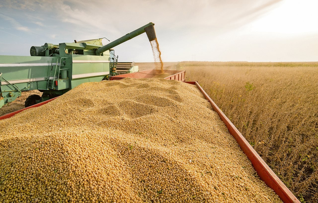 2026 Tarım Kredisi Şartları: 5 Soruda Hazine Desteği