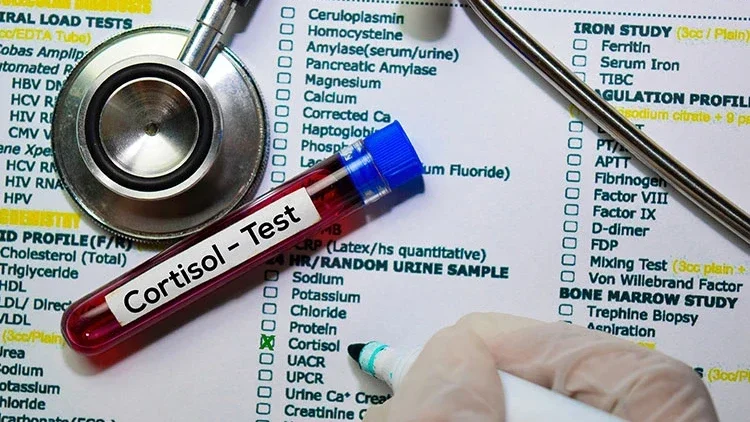 Kortizol Rehberi: Stres Hormonu Hakkında Bilmeniz Gerekenler