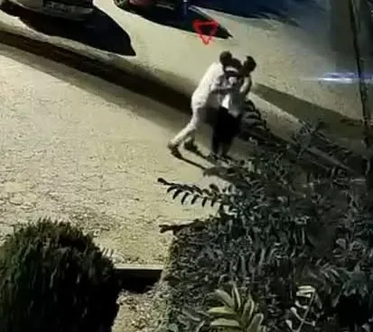 Diyarbakır’da dehşet! "Çocuğumu göreceğim" deyip kurşun yağmuruna tuttu! Cani eş yakalandı