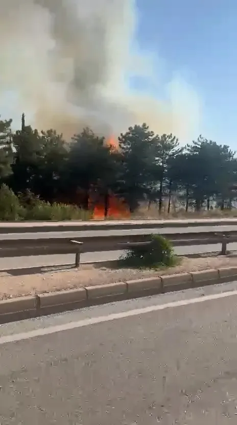 Bursa'da üç noktada aynı anda yangın...Uludağ'ın etekleri yanıyor: Çok sayıda ekip sevk edildi