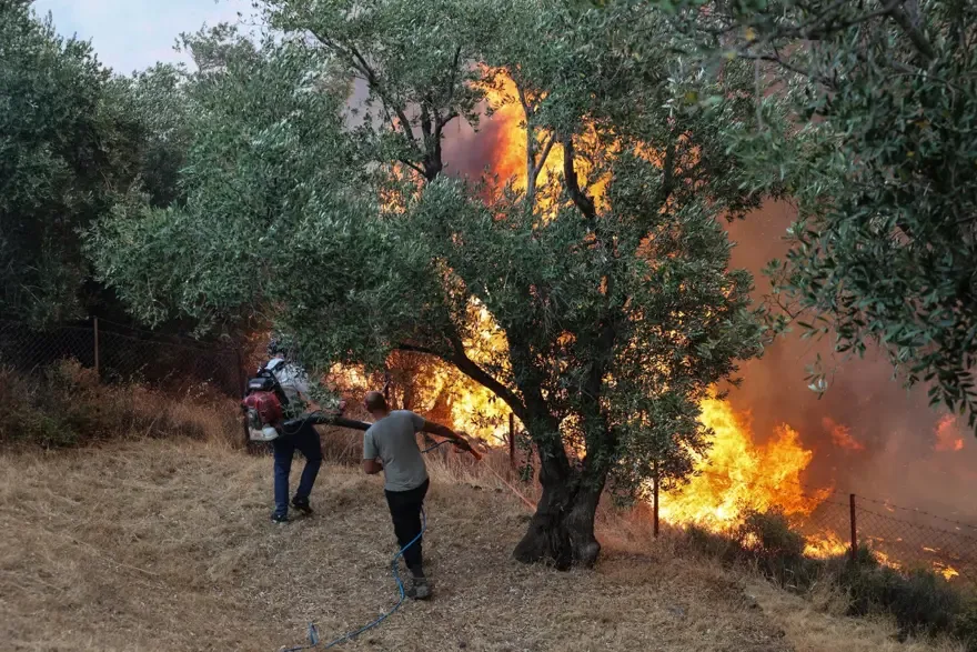 Yunanistan'da Orman Yangını Sahile Ulaştı, Yüzlerce İtfaiyeci Seferber Oldu