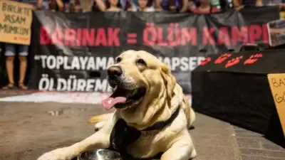 Mekke Savunma Anlaşması Türkiye'nin bölgedeki konumunu nasıl etkileyecek?