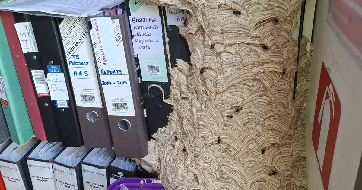 Ofisine döndü, gözlerine inanamadı. "Bundan hemen kurtulmam gerek"