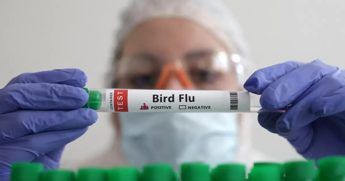İlk kez bir memelide H5N1 kuş gribi virüsü tespit edildi