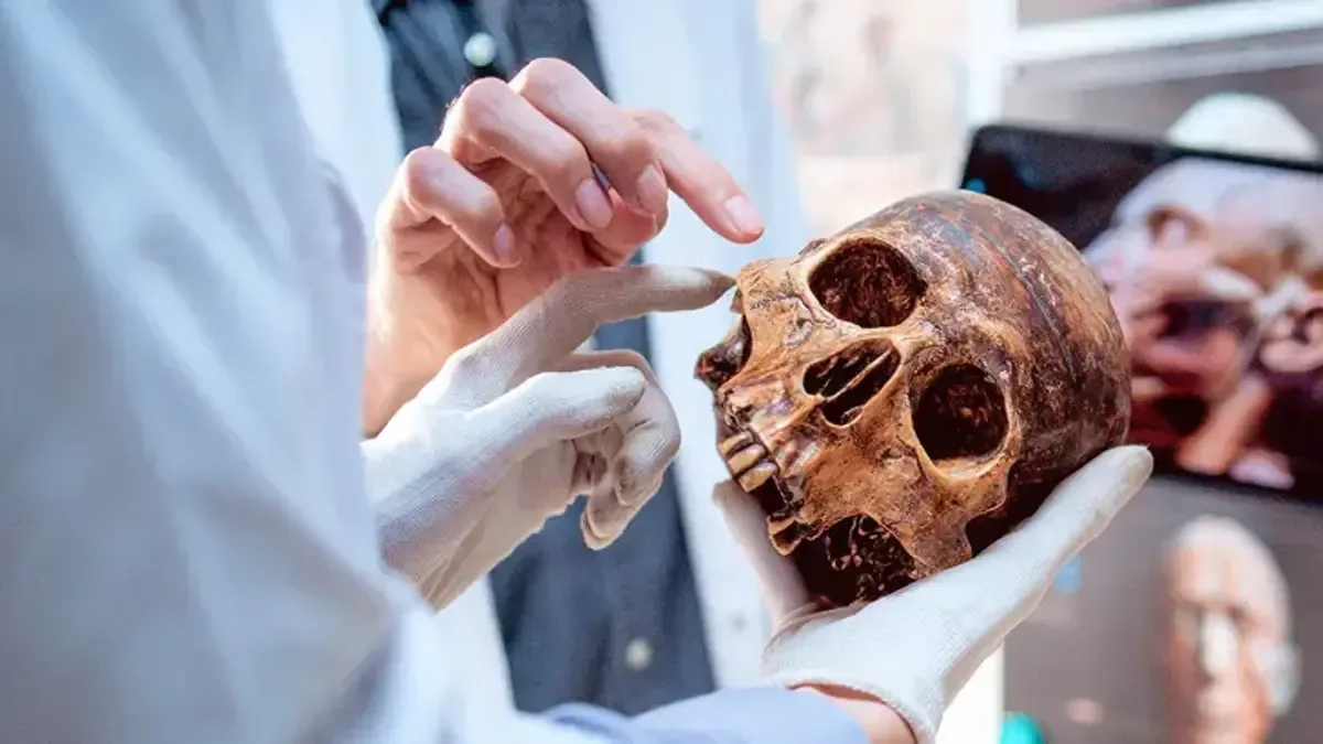 Yeni Bir Organ Keşfedildi: Bilim Dünyası Şokta