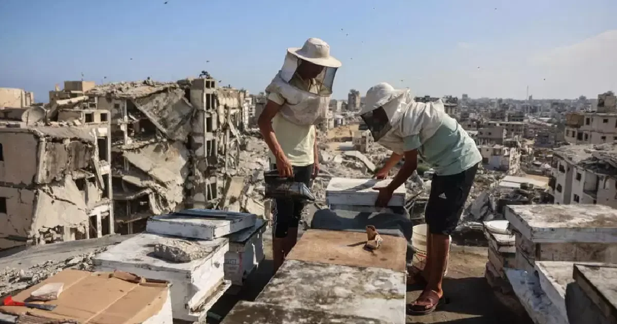 35 kovanıyla yıkıntıların arasında hayata tutunuyor