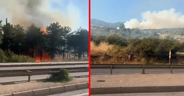 Bursa'da üç noktada aynı anda yangın...Uludağ'ın etekleri yanıyor: Çok sayıda ekip sevk edildi