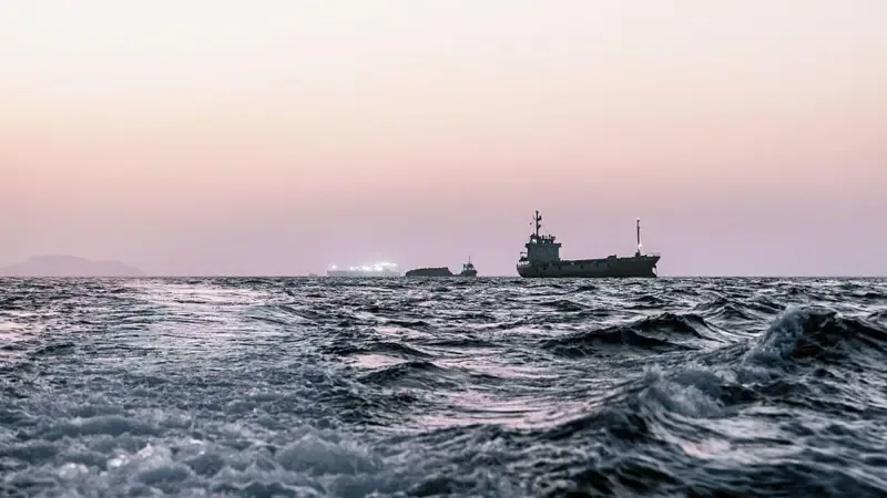 Hürmüz Boğazı'nda mahsur kalan gemiler 'biyolojik istilaya yol açabilir'