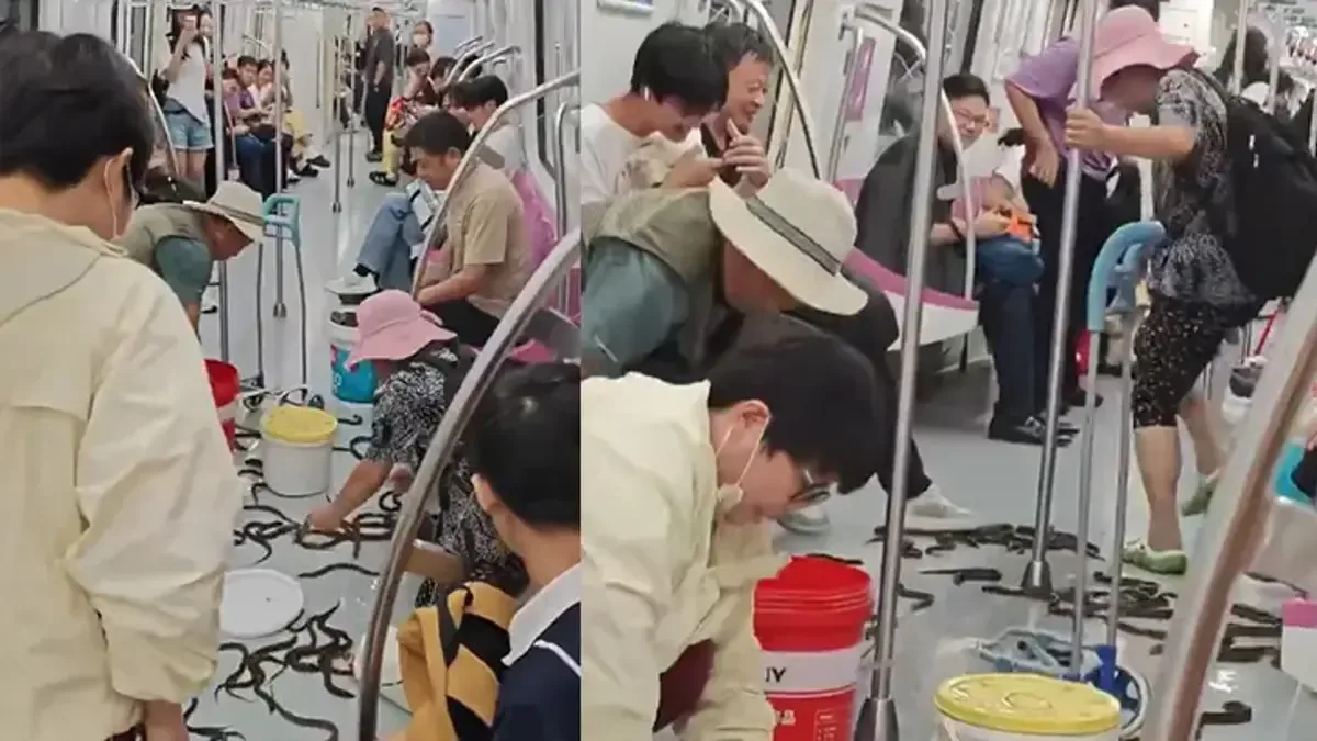 Metro yolculuğunda yılan balığı paniği