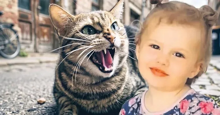 Kedinin ısırdığı Nehir yaşama tutunamadı
