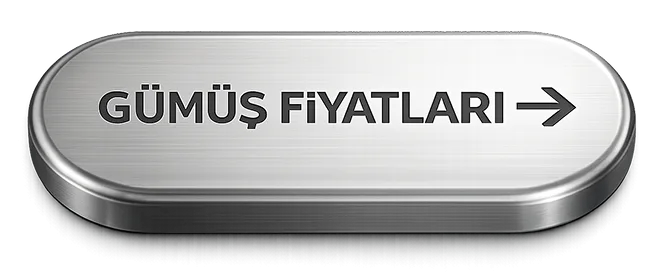 Vesayet altında siyaset olmaz