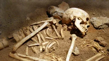 Gençlerin Hayatını Kaybettiği Otoyol Kazası Sosyal Medya Tartışmalarını Alevlendirdi