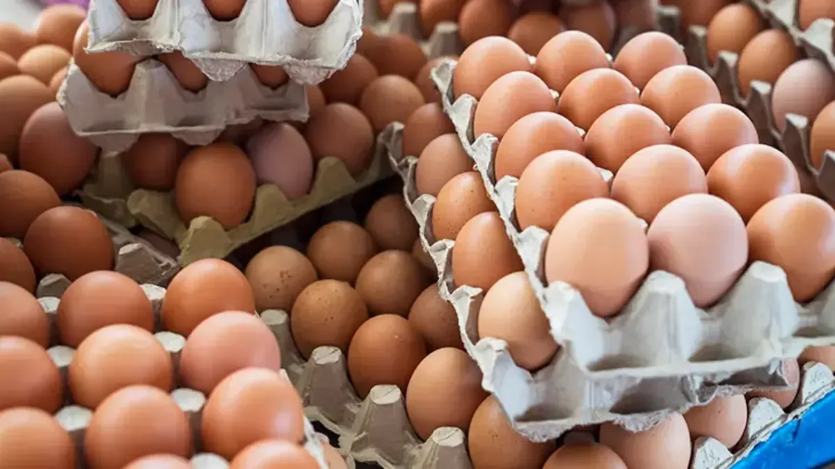 306 kişi hastanelik oldu! Yumurtalarda korkutan alarm: 'Tehlike sanılandan büyük, 9 ülkeye ulaştı'