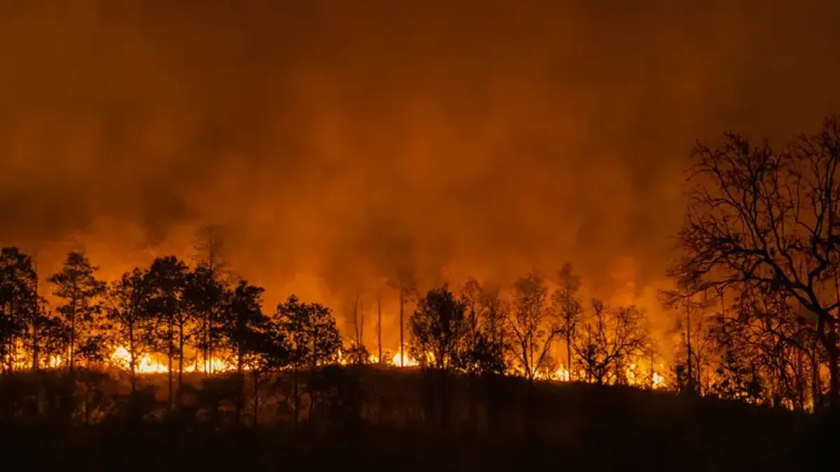 Yunanistan'da 73 Noktada Orman Yangınıyla Mücadele Ediliyor