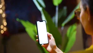 iPhone Tartışması Facia ile Sonuçlandı: Aile Üyeleri Uçurumdan Düştü
