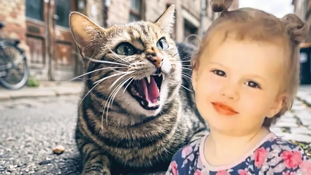 Kedinin ısırdığı Nehir yaşama tutunamadı