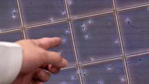 Kardeş olup olmadıklarını öğrenmek için yasaları çiğnediler